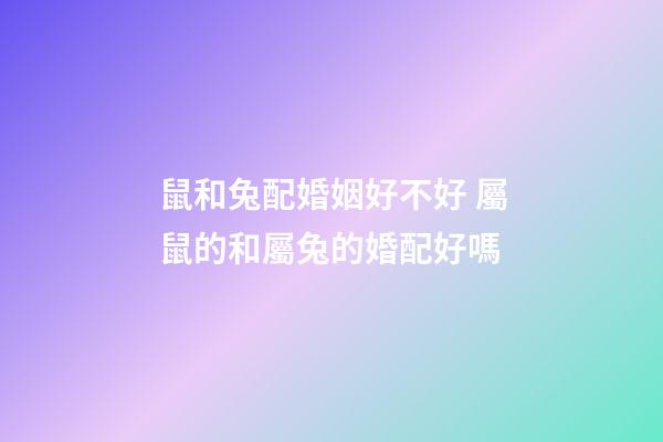 鼠和兔配婚姻好不好 屬鼠的和屬兔的婚配好嗎-第1張-觀點-玄機派